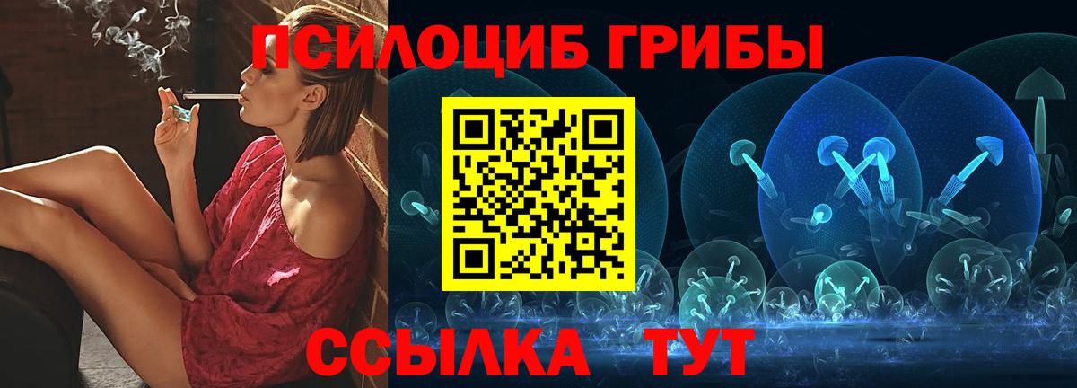 Псилоцибиновые грибы Psilocybe Камышин